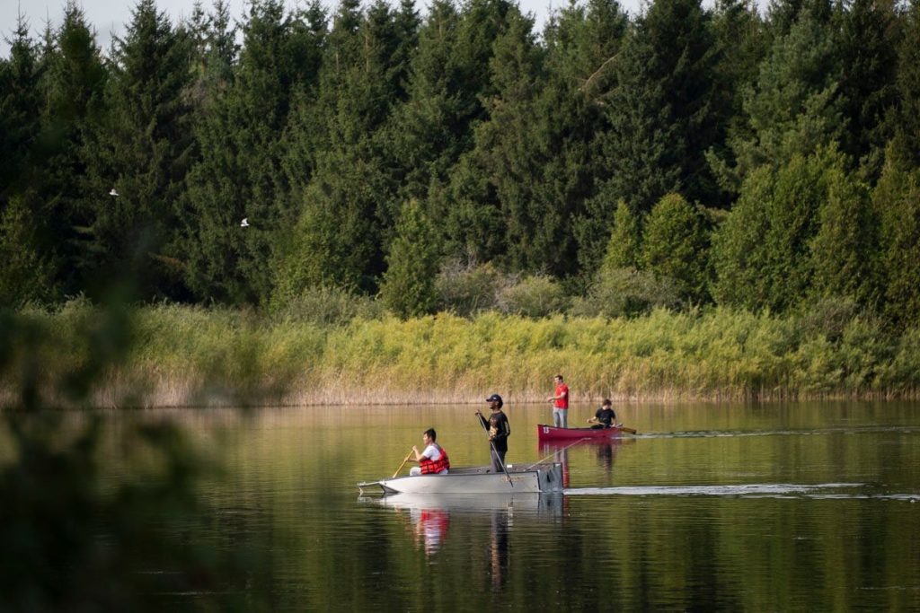 ggor neighbourhood 2 cbdab76042