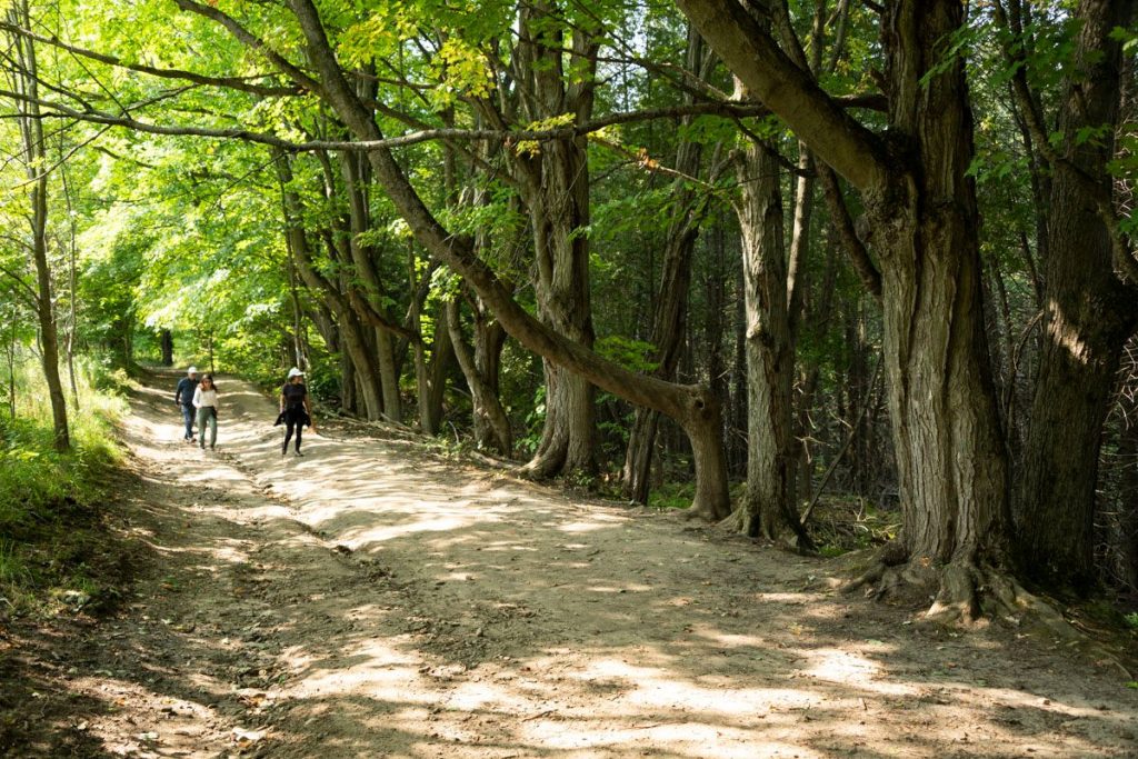 ggor neighbourhood 5 6ad5b3a863