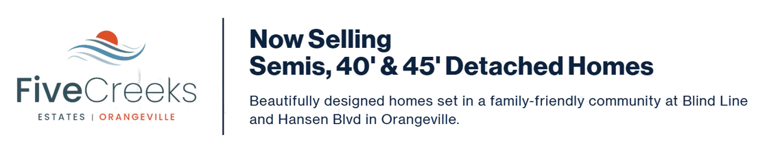 image removebg preview (2)